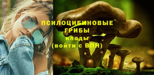 стаф Алексеевка